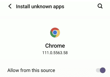 Allow the download from unknown sources Go settings